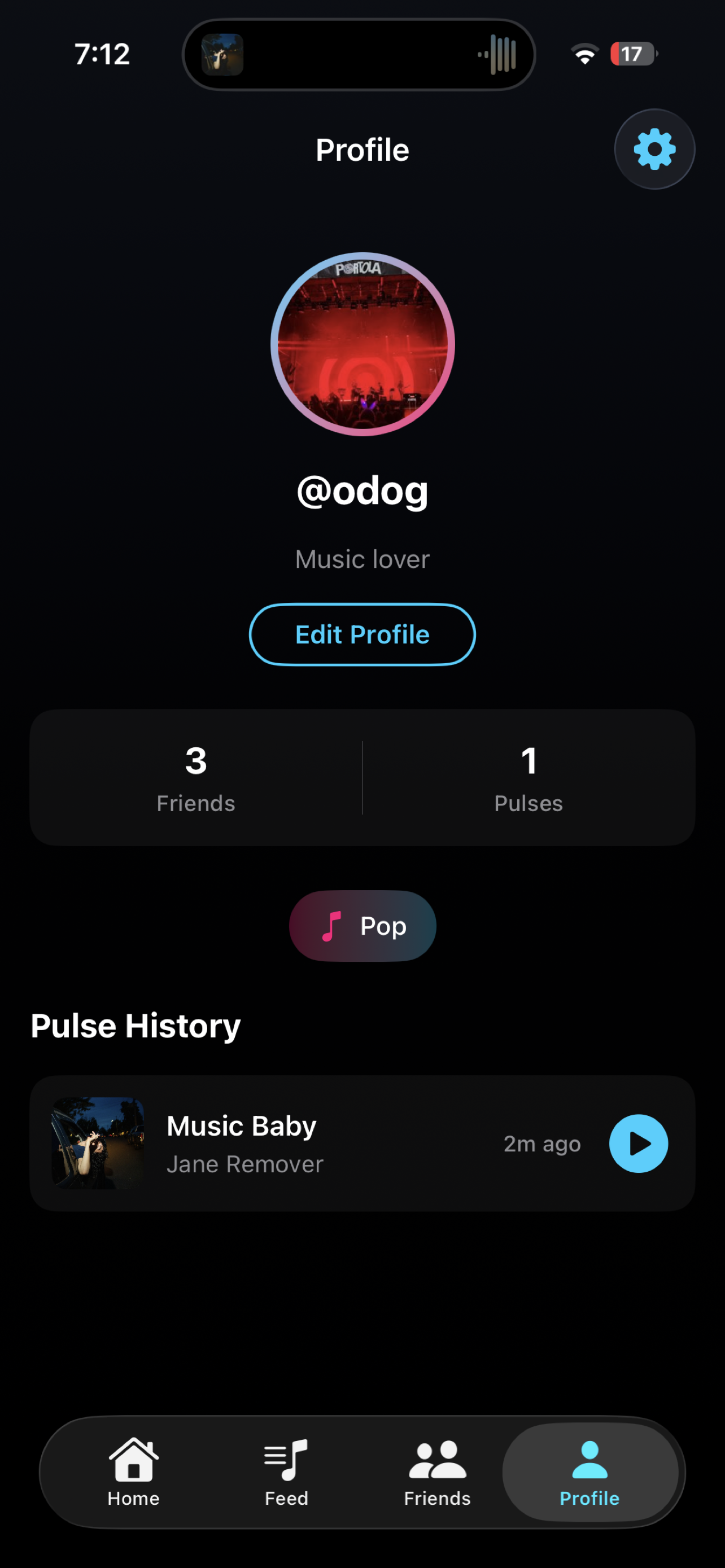 User profile showing pulse history and music taste